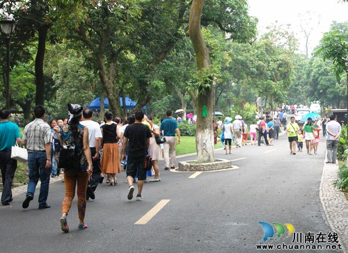 第三届江阳桂圆旅游文化节今日正式开幕(图7) 第三届江阳桂圆旅游文化节今日正式开幕(图7)
