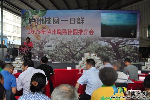 2015年四川•泸州晚熟桂圆推介会在重庆隆重举行(图1)