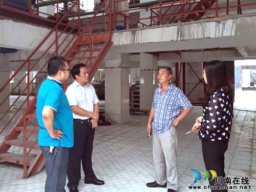 泸州市委副秘书长率队专题调研合江临港园区