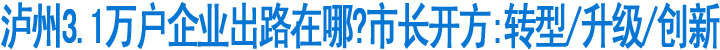 泸州3.1万户企业出路在哪？市长开方：转型/升级/创新(图1)