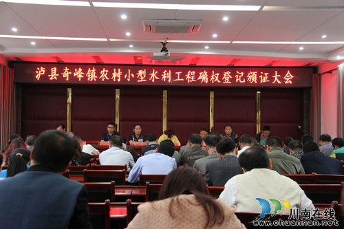 奇峰镇：召开农村小型水利工程确权登记颁证大会(图1)
