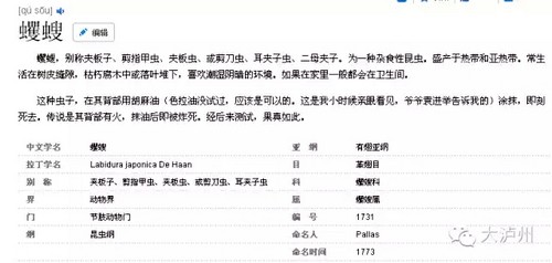 泸州古蔺现怪虫子&nbsp;连专家都不敢肯定是什么(图2)