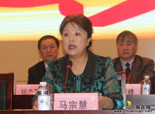 心脑血管疾病学科专家集聚川医大中医院共襄发展(图3)