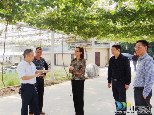 市政府副秘书长刘燕萍调研合江县国土资源管理工作(图2) 市政府副秘书长刘燕萍调研合江县国土资源管理工作(图2)