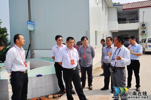 泸县政协领导调研泸县渔业发展情况(图3)