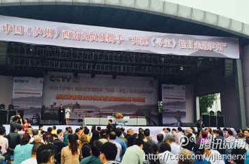 央视《寻宝》栏目引爆泸州藏友热情(图1)