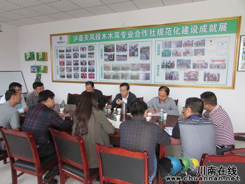泸县县委书记郭庆视察农业产业园建设(图1) 泸县县委书记郭庆视察农业产业园建设(图1)