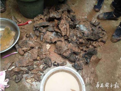 宜宾高县发现疑似1942年美军坠毁飞机残骸(图1) 宜宾高县发现疑似1942年美军坠毁飞机残骸(图1)