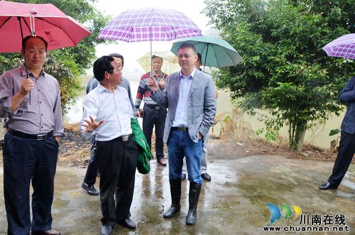 泸县副县长杜作文率队到太伏镇调研农村产业发展(图2)