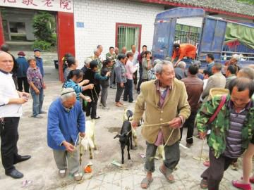 内江市中区计划2020年19个贫困村全部“摘帽”(图3)
