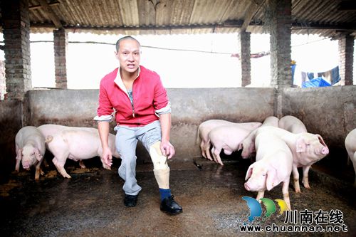 龙马潭区:居家灵活就业直补促就业创业(图1) 龙马潭区:居家灵活就业直补促就业创业(图1)