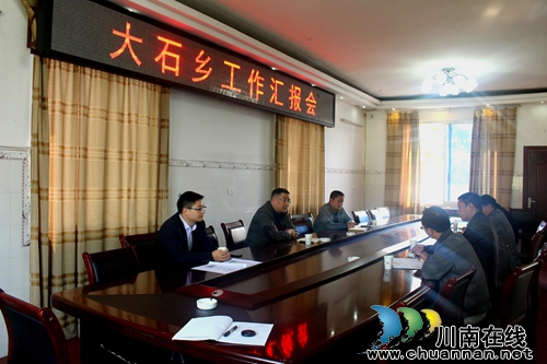 叙永县县委常委、副县长曹阳到大石乡指导工作(图1)