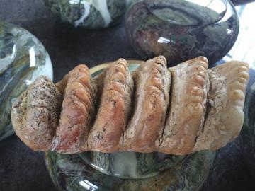 泸州现史前动物牙齿化石 长眠古蔺山洞60万年(图1) 泸州现史前动物牙齿化石 长眠古蔺山洞60万年(图1)