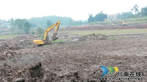 南溪区长兴镇3000亩现代农业生产发展水稻项目建设工程进展顺利(图1)