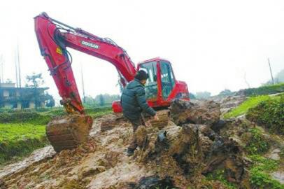 宜宾：非法占用农用地罪&nbsp;两“挖木人”各罚2万(图1)