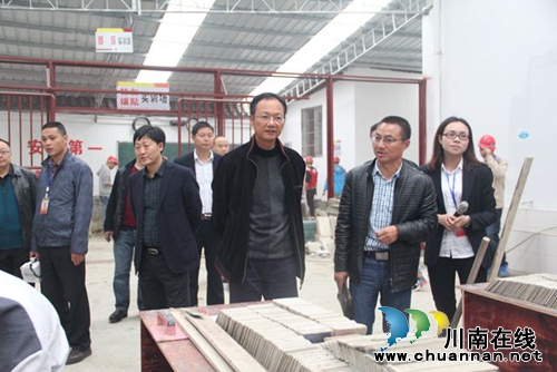 泸县接受国家级农村职业教育和成人教育示范县评审(图6)