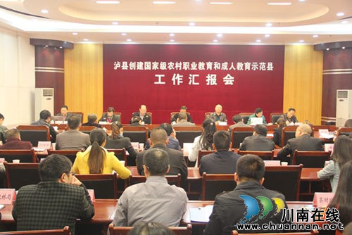 泸县接受国家级农村职业教育和成人教育示范县评审(图1)