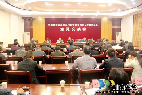 泸县接受国家级农村职业教育和成人教育示范县评审(图8)