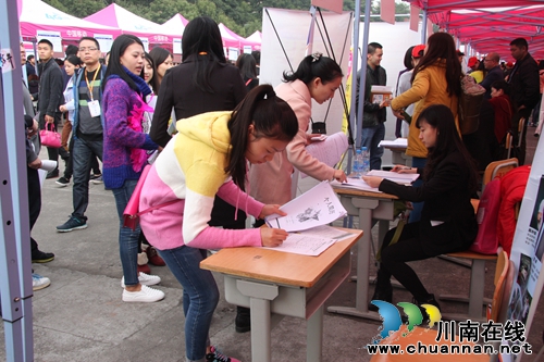 泸州高校毕业生“双选会” 招聘职位近5000个(图4) 泸州高校毕业生“双选会” 招聘职位近5000个(图4)