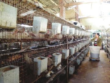 2013年以来泸州农民工返乡创业投资达37.7亿(图1)