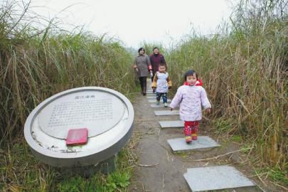 10余万农民进城变市民&nbsp;内江5年新增31平方公里(图1)
