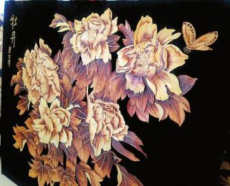 宜宾民间高手画只雄鹰能数清毛羽(图3)