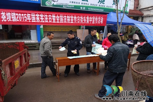 合江县尧坝镇开展“12.4”国家宪法日法制宣传活动(图1)