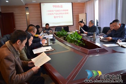 华阳街道学习《廉洁自律准则》和《干部处分条例》(图1)