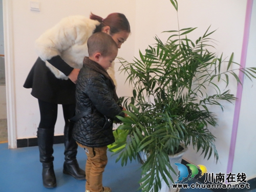 立石镇：中心幼儿园“绿色小生命，快乐伴成长”(图1)