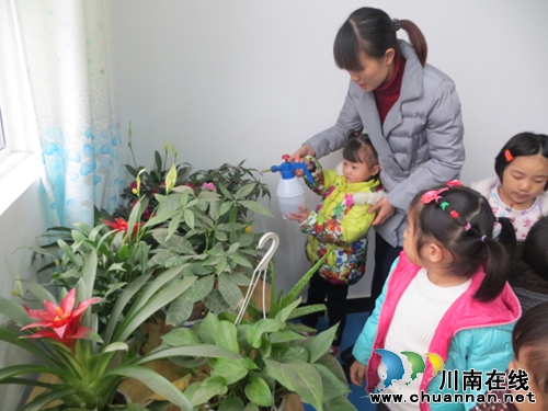 立石镇：中心幼儿园“绿色小生命，快乐伴成长”(图3)