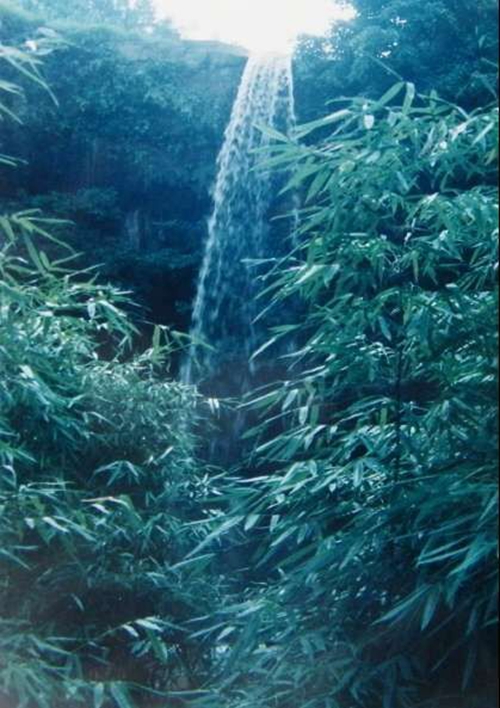 犀牛峡惊现“花果山”?新报记者实地探寻猴踪(图1) 犀牛峡惊现“花果山”?新报记者实地探寻猴踪(图1)