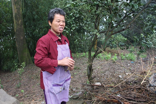 犀牛峡惊现“花果山”?新报记者实地探寻猴踪(图9) 犀牛峡惊现“花果山”?新报记者实地探寻猴踪(图9)