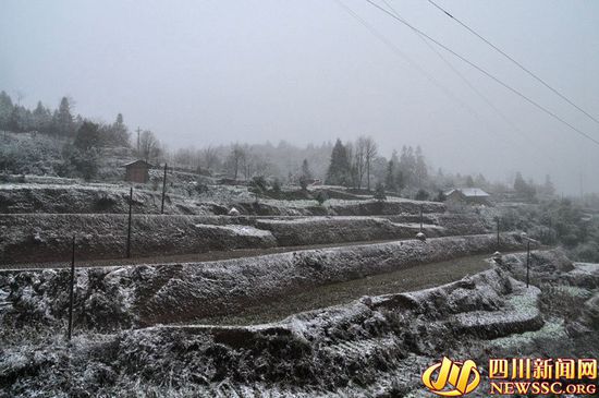 泸州古蔺、叙永今冬第一场雪&nbsp;银装素裹分外妖娆(图3)