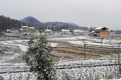 川南第一场雪&nbsp;比以往来得晚一些(图3)