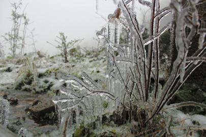 川南第一场雪&nbsp;比以往来得晚一些(图4)