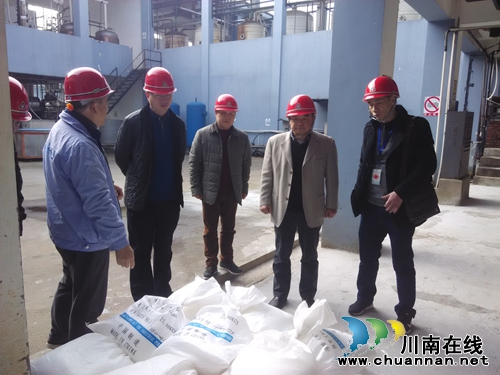 泸州市安办主任李思能率队到合江园区检查安全生产(图2) 泸州市安办主任李思能率队到合江园区检查安全生产(图2)