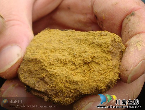 独家：“泸州土王”李正山应邀出席普洱论坛(图2)