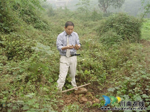 独家：“泸州土王”李正山应邀出席普洱论坛(图1)