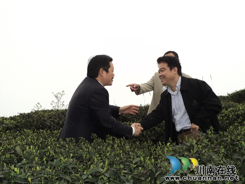 泸州农信：金融专家领雁起&nbsp;勇拔全省头筹时(图5)