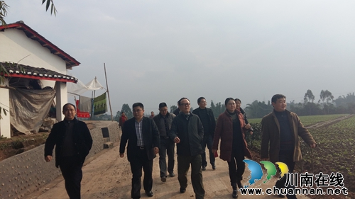 泸县委副书记张兵到嘉明镇视察现代农业园建设情况(图2)
