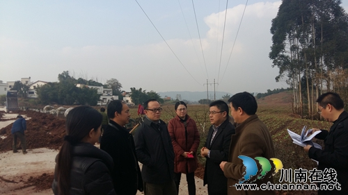 泸县委副书记张兵到嘉明镇视察现代农业园建设情况(图1)