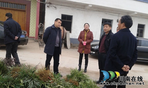 泸县政协主席李镇调研现代农业园(图1) 泸县政协主席李镇调研现代农业园(图1)