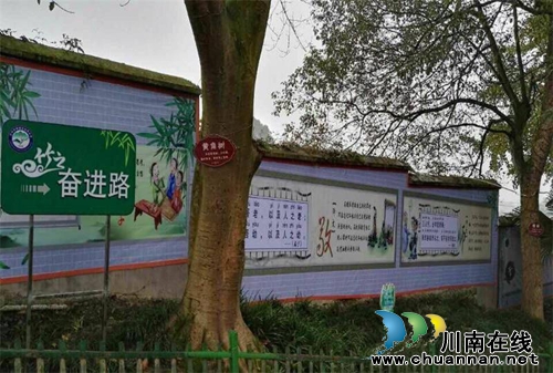 纳溪举行2015年学校文化培育与第三届校（园）长主题论坛(图7)