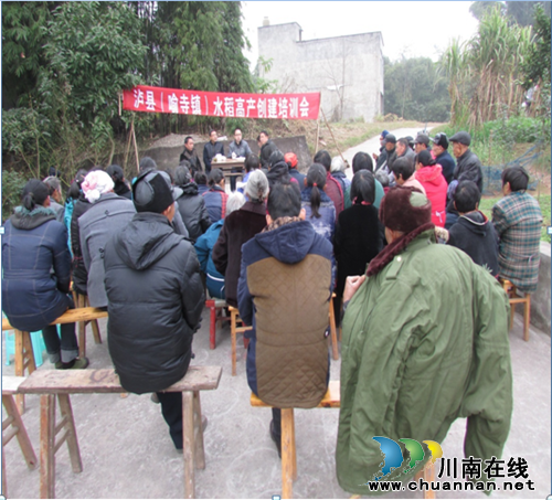 泸县喻寺镇开展水稻高产创建培训(图1)