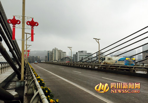 泸州：喜迎新春&nbsp;120万盆鲜花将装扮酒城(图1)