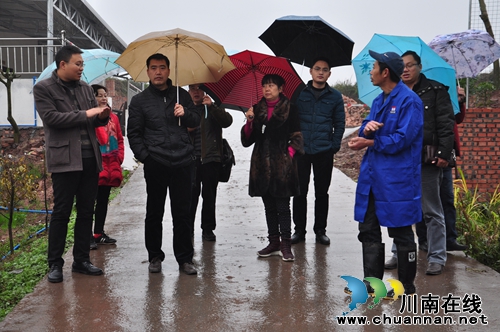 泸州市林业局领导到泸县检查“走基层”工作(图1)