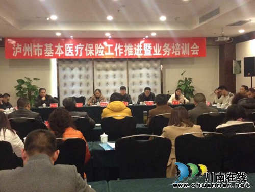 泸州市人社局在泸县召开全市医保工作推进暨业务培训会(图1)