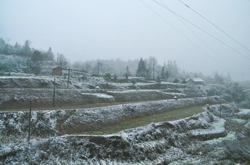 低温雨雪不及2008年&nbsp;川南连“寒潮”都算不上(图1)