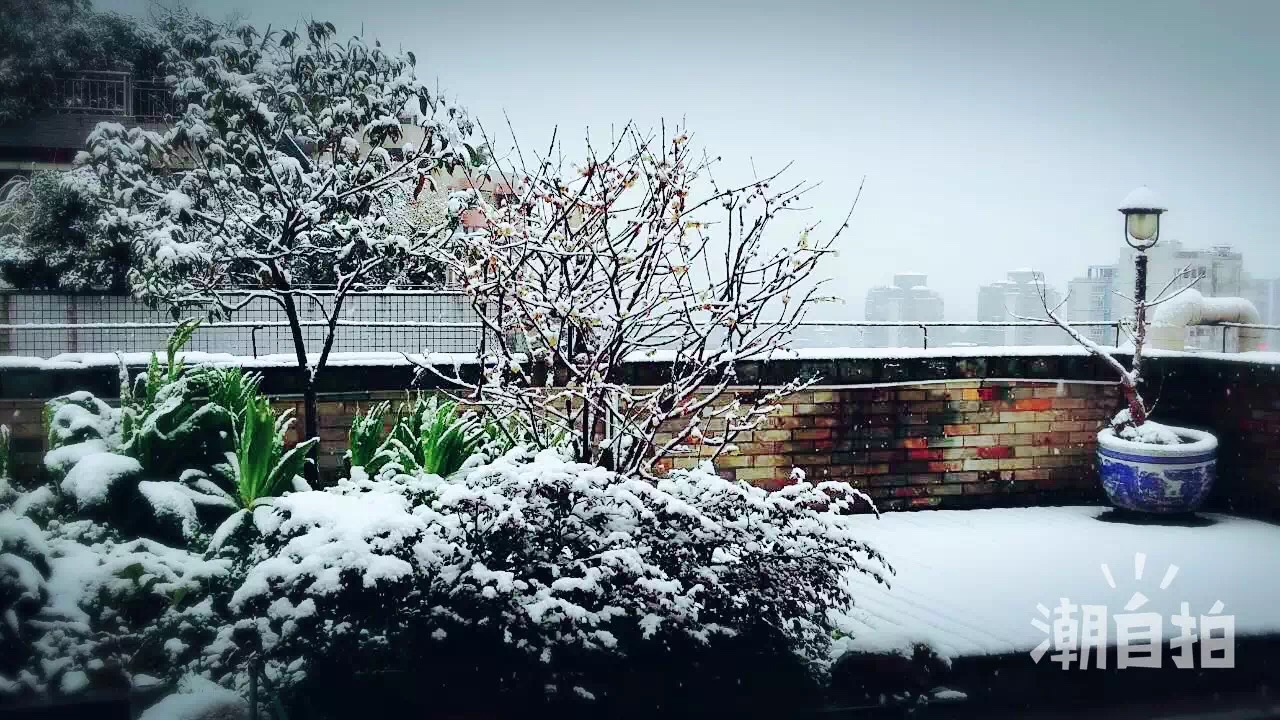 最强寒潮来袭&nbsp;泸州主城区降瑞雪(图2)