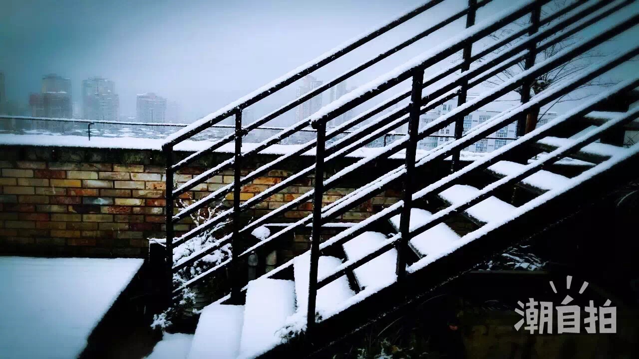 最强寒潮来袭&nbsp;泸州主城区降瑞雪(图4)